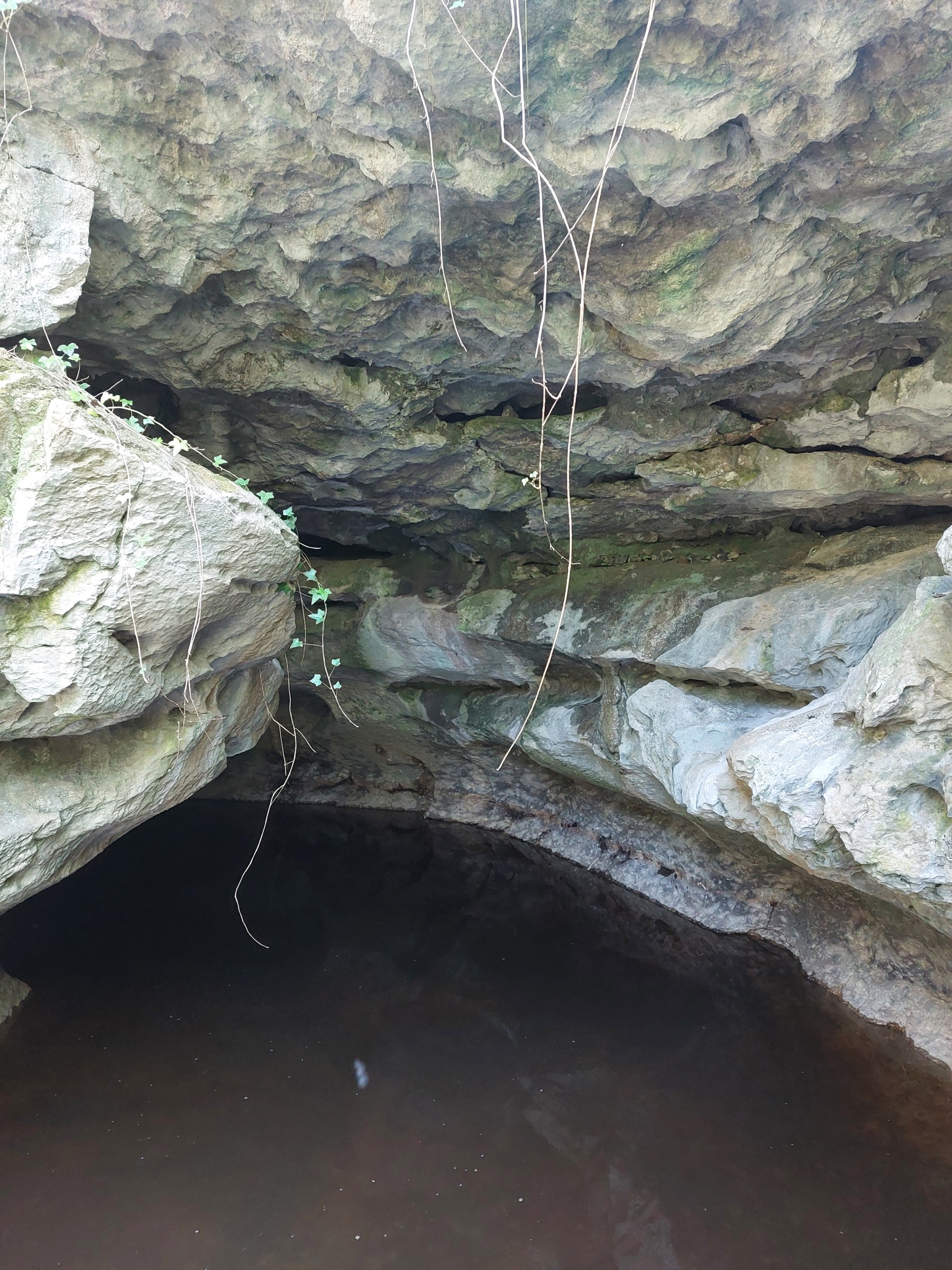 Marble Arch Caves Guided Tour